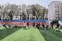 开云体育-投入运动，激情拼搏，打造辉煌战绩()