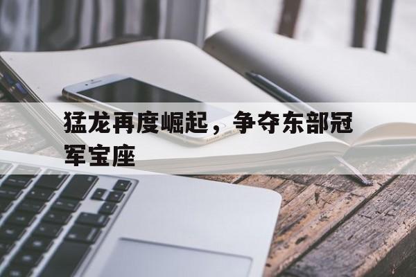 包含猛龙再度崛起，争夺东部冠军宝座的词条  第1张