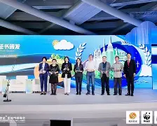 kysports-沃尔夫斯堡逆袭成功，夺得关键胜利()  第2张