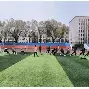 开云体育登录-投入运动，激情拼搏，打造辉煌战绩()  第1张