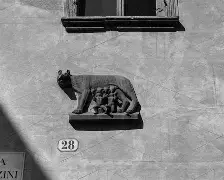 开云体育入口-比拉诺战平维罗纳，积分略显不足()  第1张