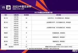 开云app-芬兰淘汰瑞士德黑兰，北马其顿逆袭击败瑞士()  第1张