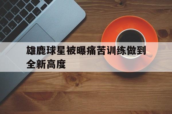 开云体育下载-雄鹿球星被曝痛苦训练做到全新高度()  第1张