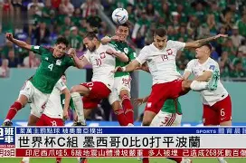 kysports-法国以惊人比分大胜芬兰，奠定晋级之路()  第2张